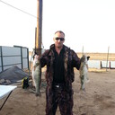 ���������� ������, ���� ������� ���������, 49 ���, ������������ ��� ������, ����� � ���������, c�������� ���������