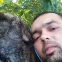 ���������� �������, ���� ������� Sasha, 40 ���, ������������ ��� ������, ����� � ���������