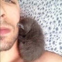 ���������� �������, ���� ������� Nika, 33 ����, ������������ ��� ������