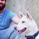 ���������� ���������, ���� ������� � � � �, 37 ���, ������������ ��� ������, ����� � ���������