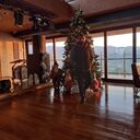 ���������� ������, ���� ������� Merab, 35 ���, ������������ ��� ������