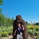 ���������� ����, ���� ������� ����, 44 ����, ������������ ��� ����� � ���������, c�������� ���������