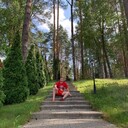 ���������� ���������, ���� ������� Ig, 35 ���, ������������ 