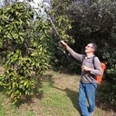  ,   , 48 ,     , c 