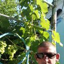 ���������� �����, ���� ������� �����, 42 ����, ������������ ��� ������, ����� � ���������, c�������� ���������