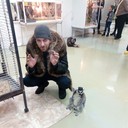 ���������� ������, ���� ������� ����, 44 ����, ������������ ��� ������, ����� � ���������, c�������� ���������