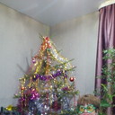  -,   , 61 ,   ,   , c 