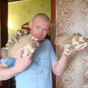 ���������� ������ ���, ���� ������� ������, 38 ���, ������������ ��� ����� � ���������, c�������� ���������