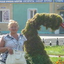  ,   , 65 ,     , c 