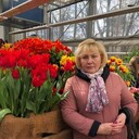 ���������� ������, ���� ������� �����, 60 ���, ������������ ��� ����� � ���������, c�������� ���������