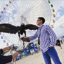 ���������� ������, ���� ������� ������, 31 ���, ������������ ��� ������, ����� � ���������, c�������� ���������, ���������