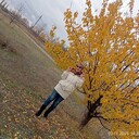 ���������� ��������, ���� ������� ����, 56 ���, ������������ ��� ������, ����� � ���������