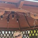 ���������� ��������, ���� ������� ������, 66 ���, ������������ ��� ����� � ���������, c�������� ���������