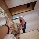  ,   , 29 ,   ,   , c 