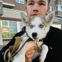 ���������� �����, ���� ������� ���������, 27 ���, ������������ ��� ������, ����� � ���������, c�������� ���������