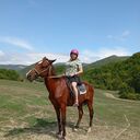 ,   , 31 ,     , c 