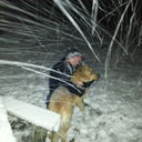 ���������� �������, ���� ������� Eduard, 42 ����, ������������ ��� ������, ����� � ���������, c�������� ���������