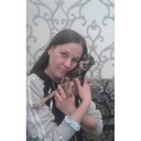  ,   , 43 ,  