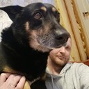 ���������� ������, ���� ������� �����, 40 ���, ������������ ��� ������, ����� � ���������, c�������� ���������, ���������