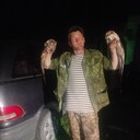 ���������� �����������, ���� ������� ��������, 44 ����, ������������ ��� ������, ����� � ���������, c�������� ���������