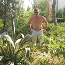  ,   , 51 ,   