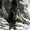 ���������� �����, ���� ������� Puma, 41 ���, ������������ 