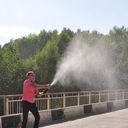 ���������� �����������-��-�����, ���� ������� ������, 33 ����, ������������ ��� ������