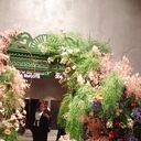 ���������� ��������-��-������, ���� ������� �������, 37 ���, ������������ ��� ����� � ���������, c�������� ���������