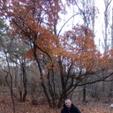 ���������� ���������, ���� ������� MAX, 44 ����, ������������ ��� ������, ����� � ���������, c�������� ���������