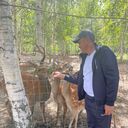 ���������� ����-�����������, ���� ������� ��������, 44 ����, ������������ ��� ������, ����� � ���������