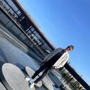 ���������� �����������, ���� ������� Aleksander, 36 ���, ������������ ��� ������, ����� � ���������