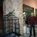  ,   , 50 ,   ,   , c 