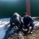 ���������� ������, ���� ������� Davron, 36 ���, ������������ ��� ������, ����� � ���������, c�������� ���������