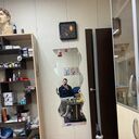 ���������� ��������, ���� ����� ����, 25 ���, ������������ ��� ���������