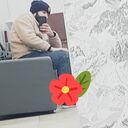  Moscow,   , 29 ,   ,   