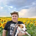 ���������� �����������, ���� ������� �����, 46 ���, ������������ ��� ����� � ���������, c�������� ���������