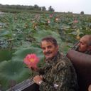 ���������� ������, ���� ������� �����, 65 ���, ������������ ��� ������