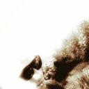 ���������� ������-��-����, ���� ������� ����, 30 ���, ������������ ��� ������, ����� � ���������, c�������� ���������