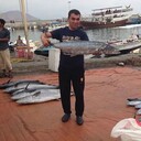 ���������� �������, ���� ������� Majidov, 46 ���, ������������ ��� ������, ����� � ���������, ���������