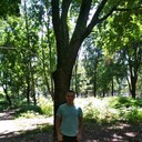 ���������� �������, ���� ������� ���������, 32 ����, ������������ ��� ������, ����� � ���������, c�������� ���������