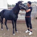  ,   , 41 ,   ,   , c 