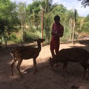 ���������� �����������, ���� ������� ����, 36 ���, ������������ ��� ������, ����� � ���������, c�������� ���������