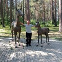 ���������� ����������, ���� ������� ������, 45 ���, ������������ ��� ������, ����� � ���������, c�������� ���������, ���������