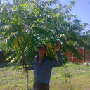  ,   Serg, 37 ,   