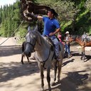 ���������� ������, ���� ������� ���������, 29 ���, ������������ ��� ������, ����� � ���������, c�������� ���������