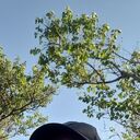 ���������� ������������, ���� ������� ��������, 39 ���, ������������ ��� ������, ����� � ���������