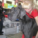 ���������� ����, ���� ������� Nana, 56 ���, ������������ 