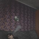 ���������� �����, ���� ����� Vlad, 21 ���, ������������ ��� ������, ����� � ���������