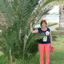 ���������� ������������, ���� ������� �����, 65 ���, ������������ ��� ������, ����� � ���������