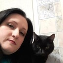 ���������� ������, ���� ������� ����, 40 ���, ������������ ��� ����� � ���������, c�������� ���������, ���������